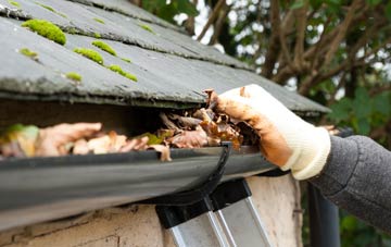 gutter cleaning Wollaston